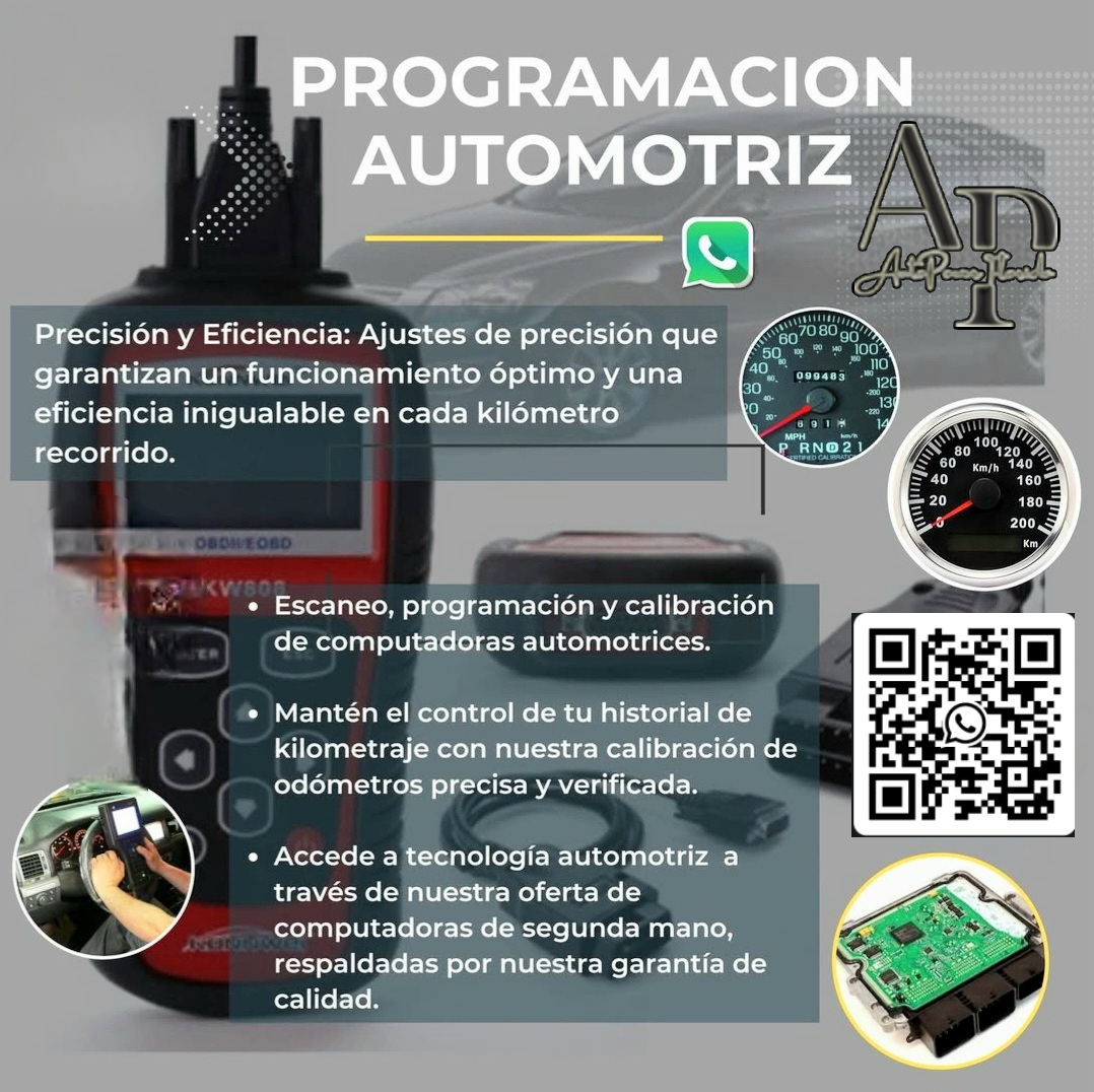 fondo